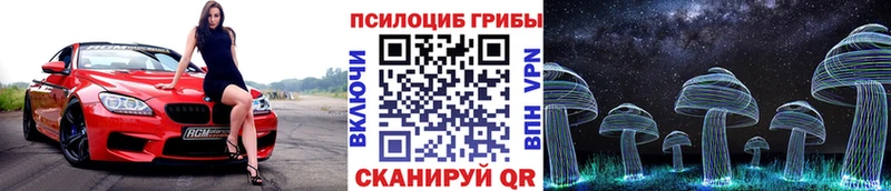 Псилоцибиновые грибы Psilocybine cubensis  Вилюйск 